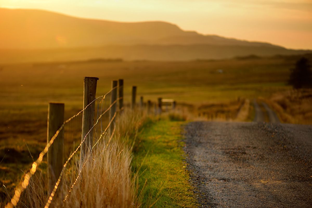 farm walk handouts